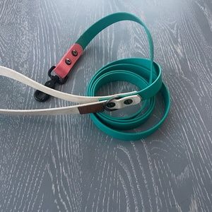 Biothane Leash